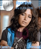 Sarah Shahi