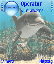 dolphin