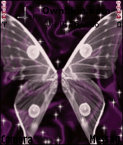 flower-butterfly