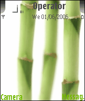 Bamboo JAS