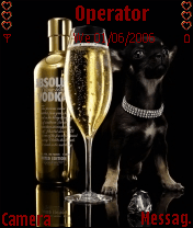 rich dog