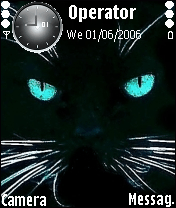 eye cat