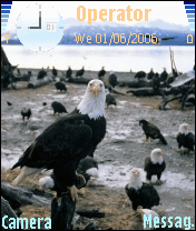 Kartal