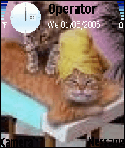قطط
