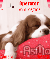 anime D O G