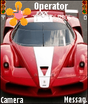ferrari & ford gt karısık