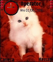 red cat