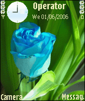 flower gouda