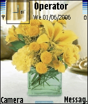 flower11