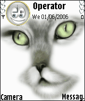 Animation Cat