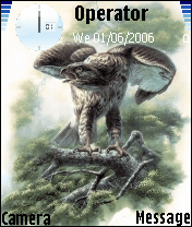 birds1