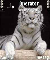 taiger