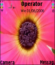 warda pink