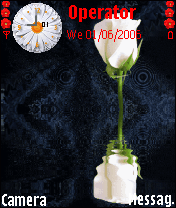 RosE AND BUTTERFLy