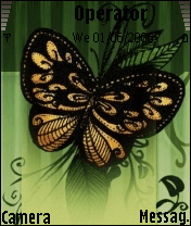 butterfly