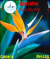 paradisebird