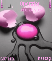 eggs