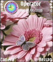 flowerbutterflyy