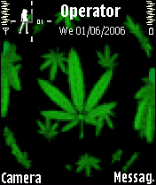 Marijuana