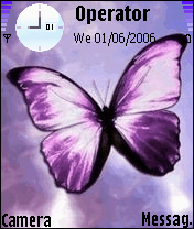Butterfly