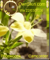 nifoyellowflower