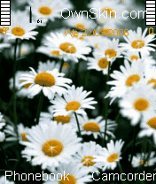 White Flower