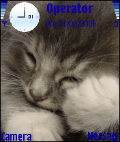 NappingCat_byGODIN
