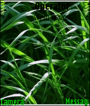 Green Plant