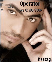 tamer4