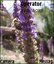 Bee