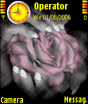 GLITTERING ROSE