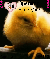 chick