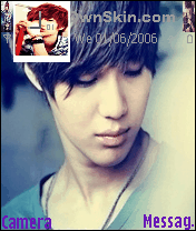vhie taemints