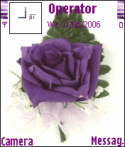 purple_rose