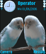 animated birds