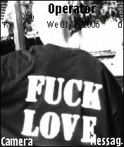 fuck love