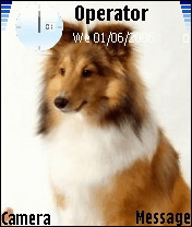 狗