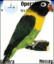 LoveBirdAloneS