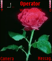red flower