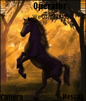 Black Horse