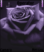 purple rose