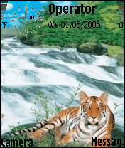 tiger