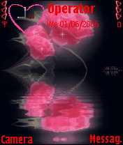 rose love