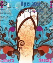 havaianas2