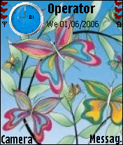 butterfly