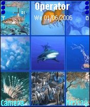Aquarium & Sea      