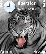 tiger
