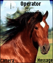 gold hors 22