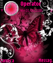 butterfly