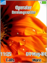 flower2